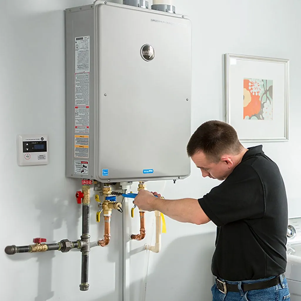 tankless water heater repair in Elmer city, WA